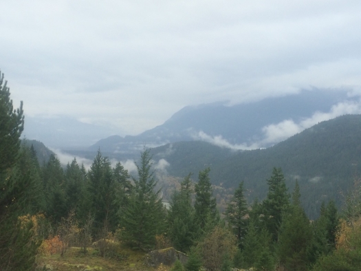 to whistler